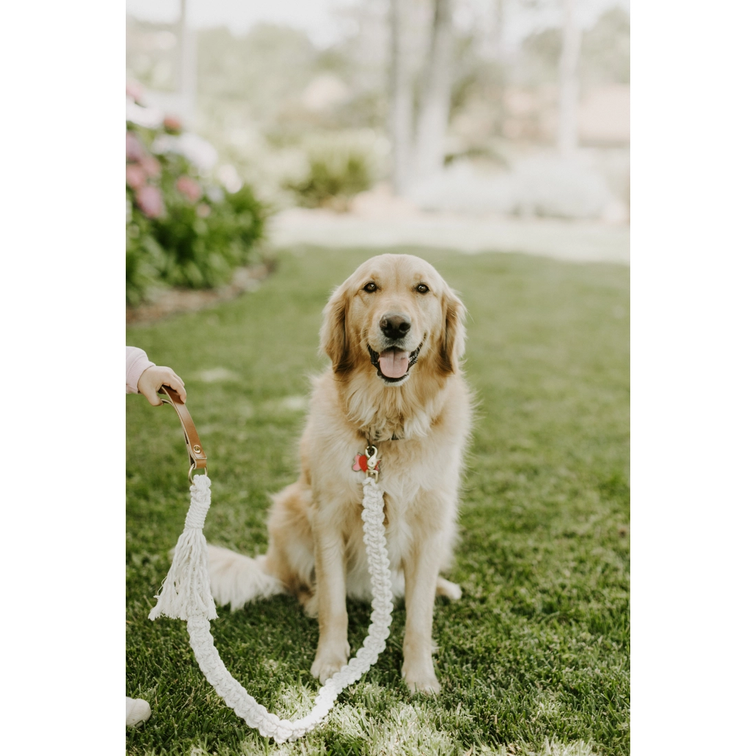 Macrame Dog Leash - Neutral Rope / Brown Leather Handle