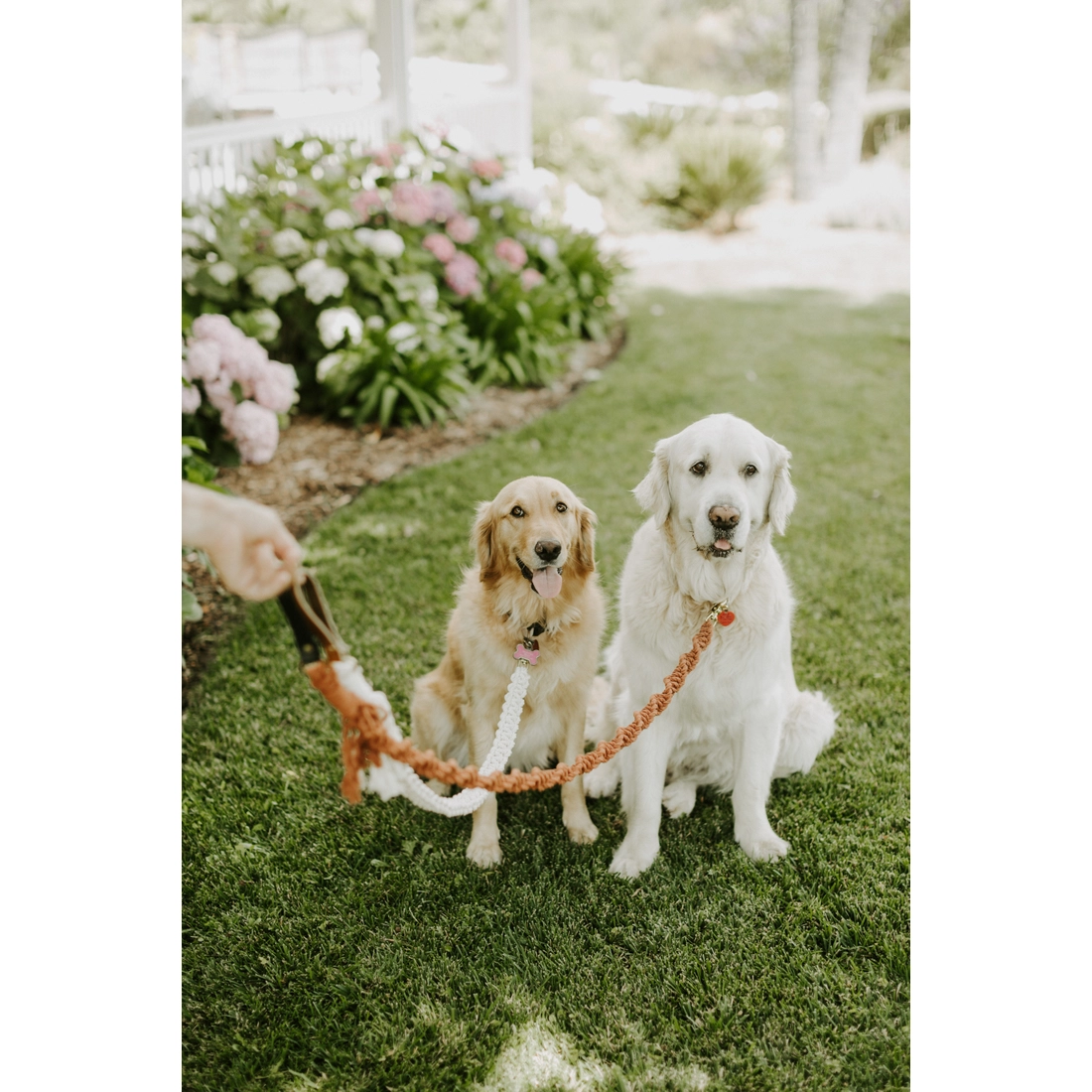 Macrame Dog Leash - Black Rope / Brown Leather Handle