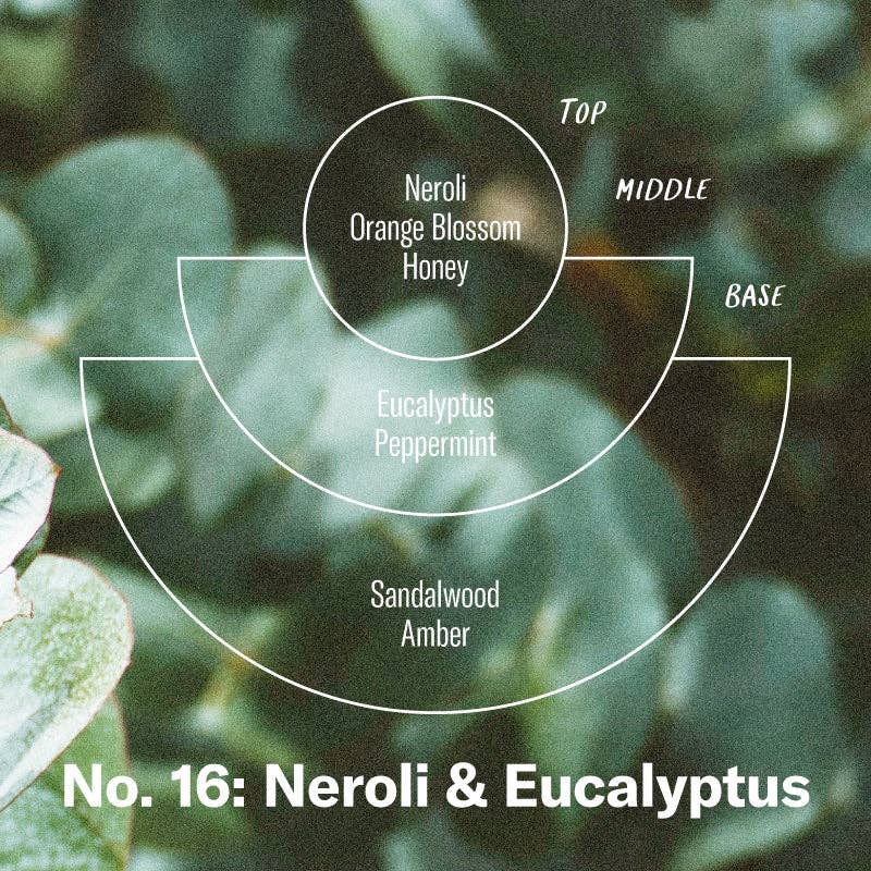 Neroli & Eucalyptus - 7.2 oz Soy Candle