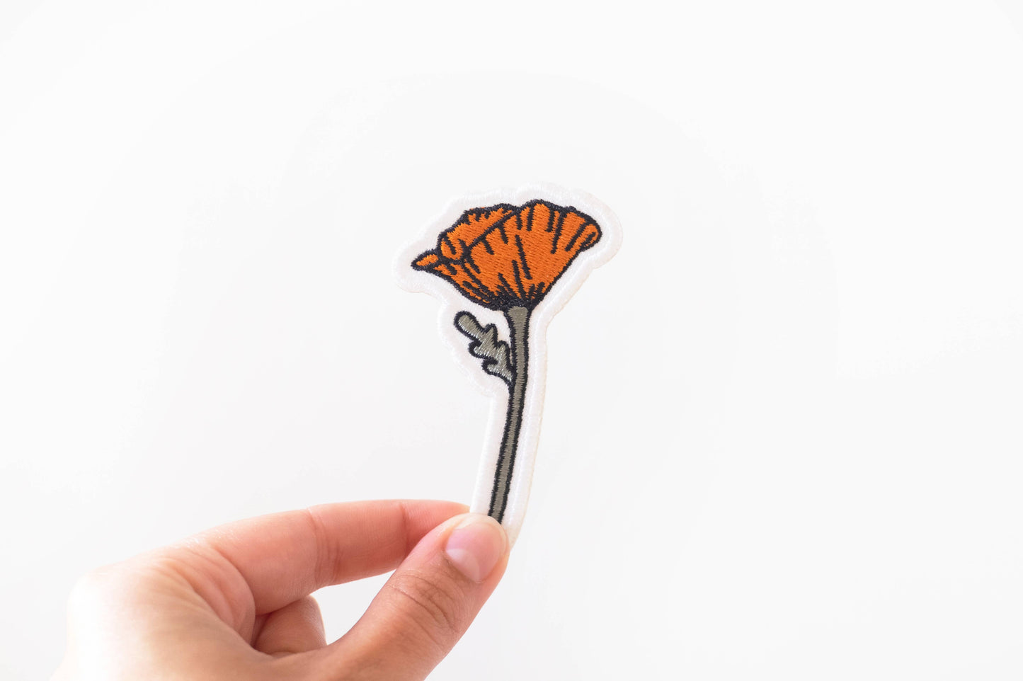 Blooming Poppy Patch