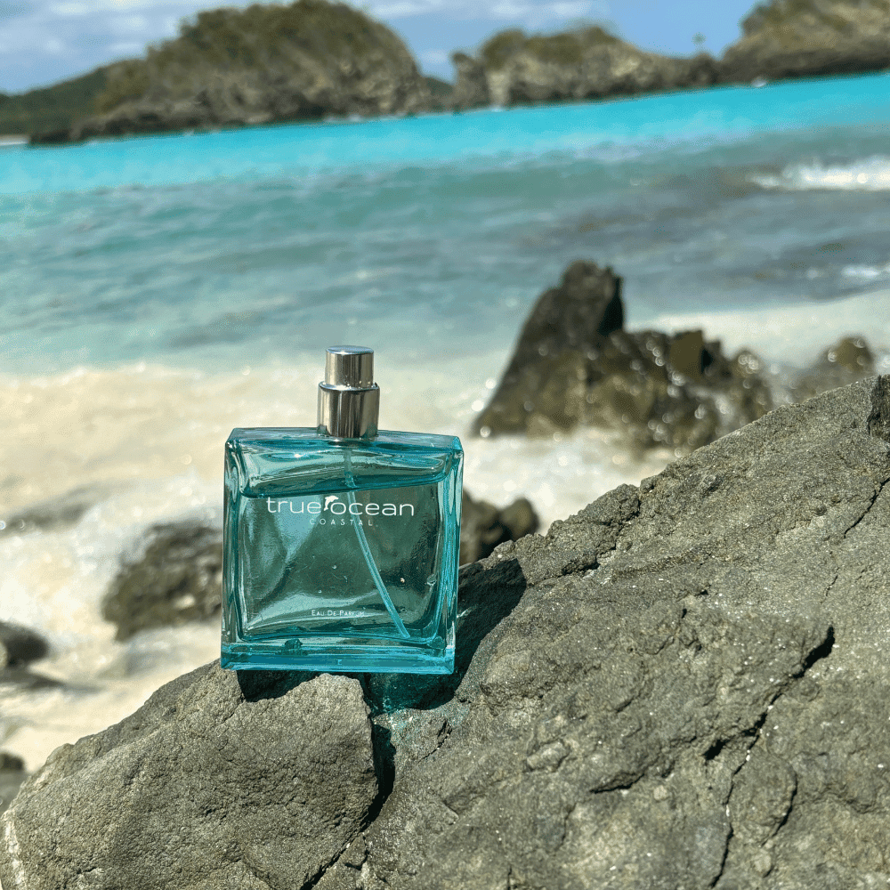 Turquoise glass perfume bottle labeled Coastal rests on a rock beside clear blue tropical water.