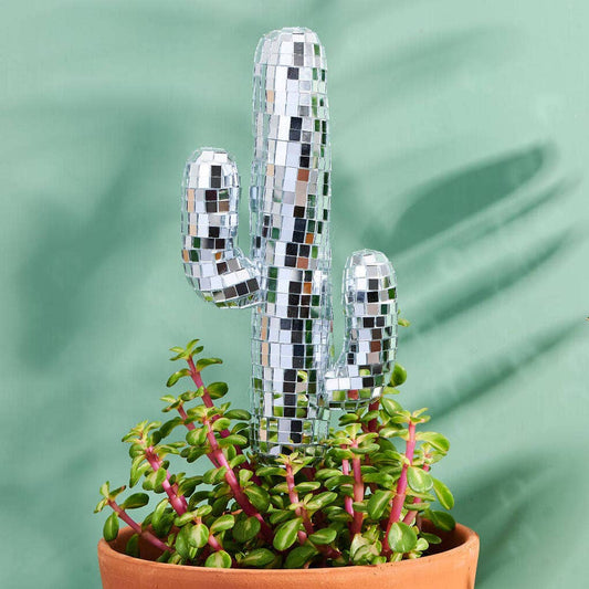 Disco Cactus Decorative Plant Stake