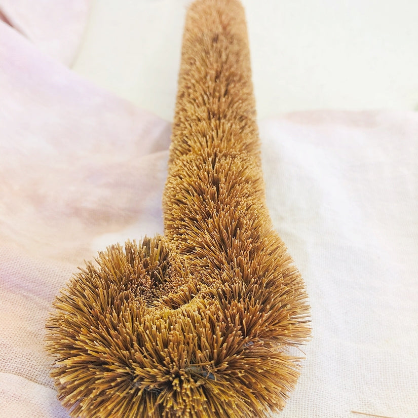 Coconut Bottle Cleaning Brush