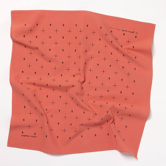 “explore more” bandana