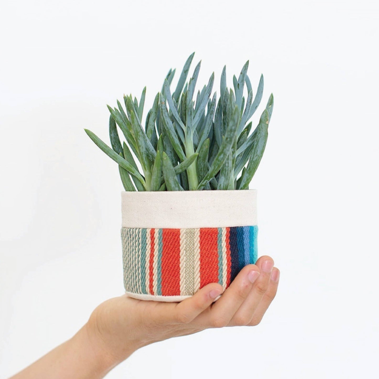 Small Natural Canvas Sitting Planter  |  Red + Blue