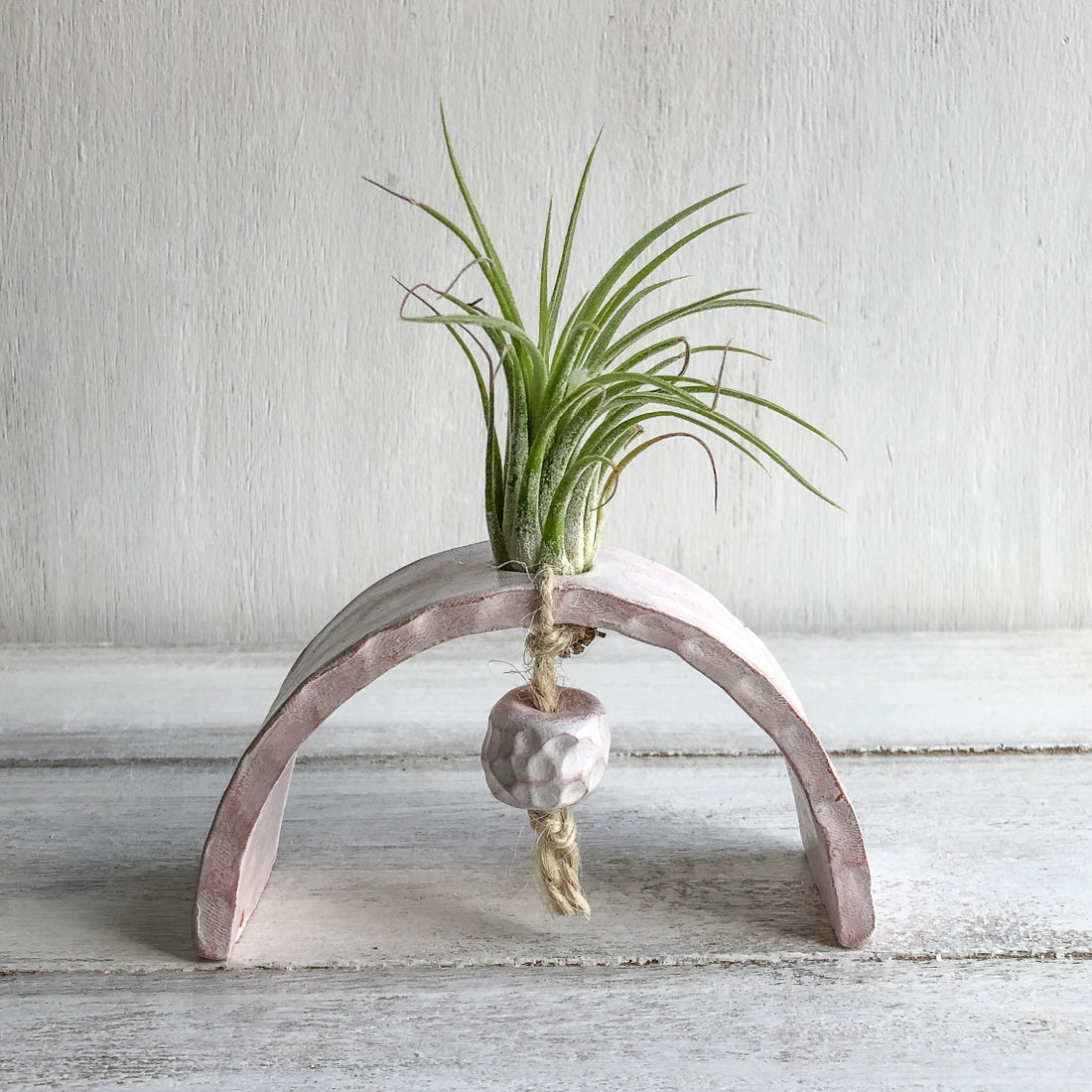 Table Top Air Plant Holder