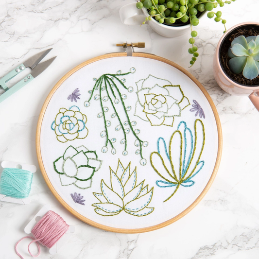 Succulents Embroidery Kit