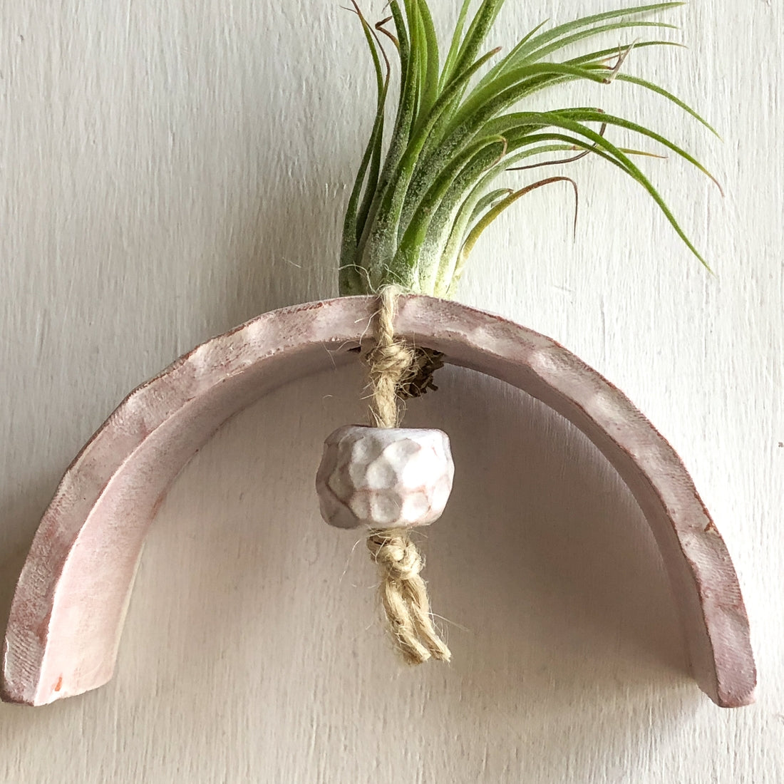 Table Top Air Plant Holder